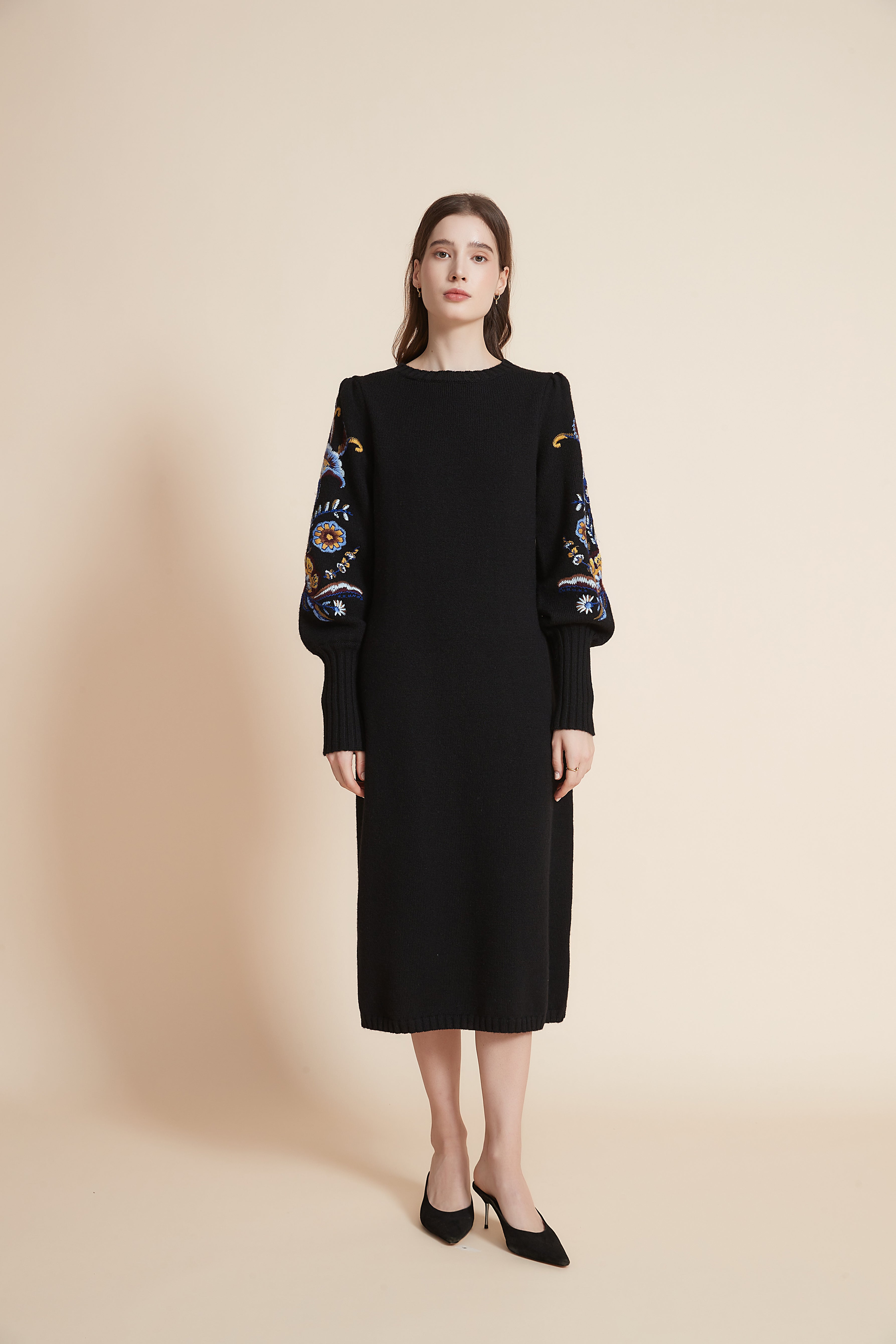 Embroidered Long Sleeve Midi Dress