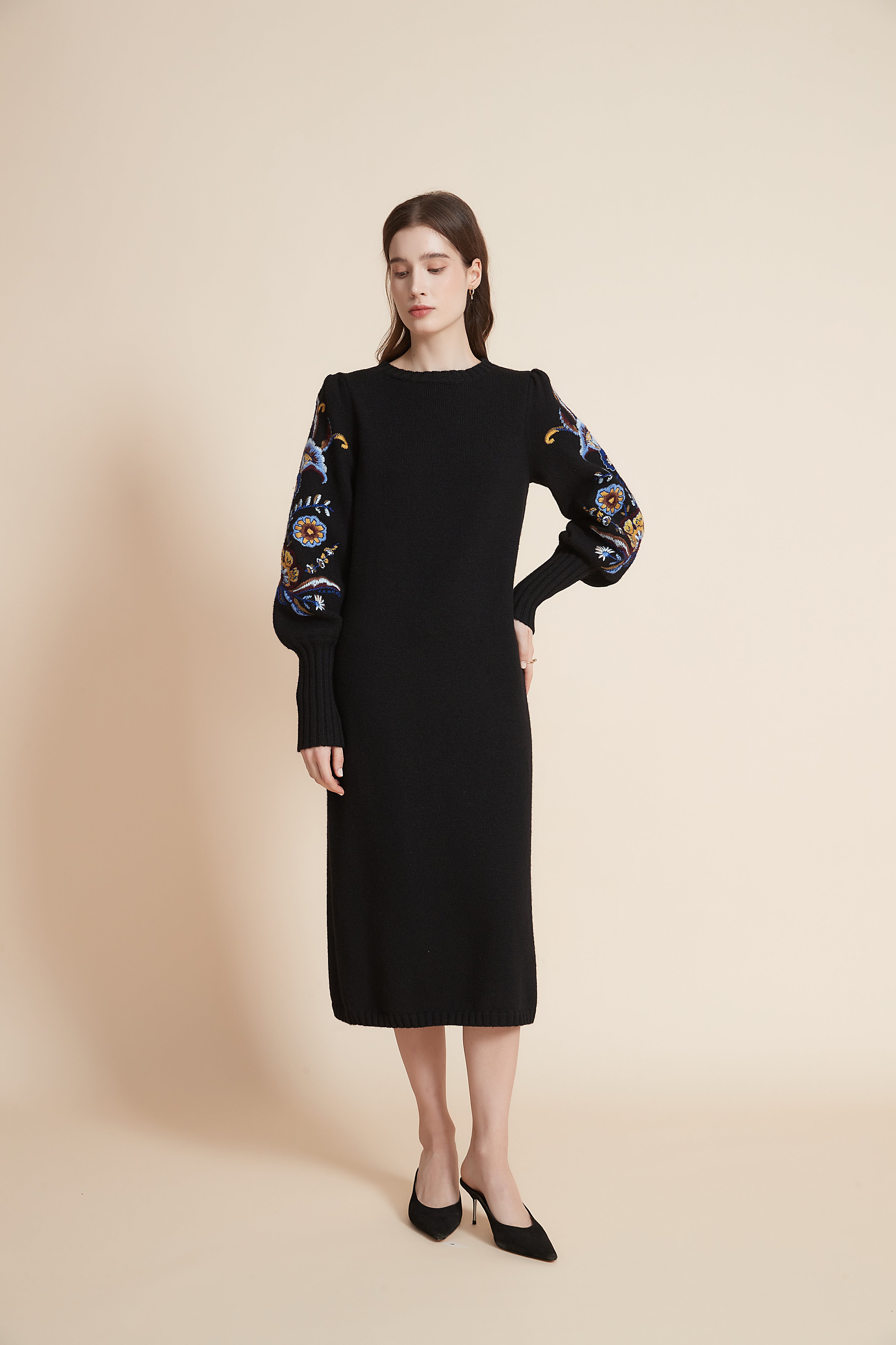 Yola Embroidered Long Sleeve Midi Dress