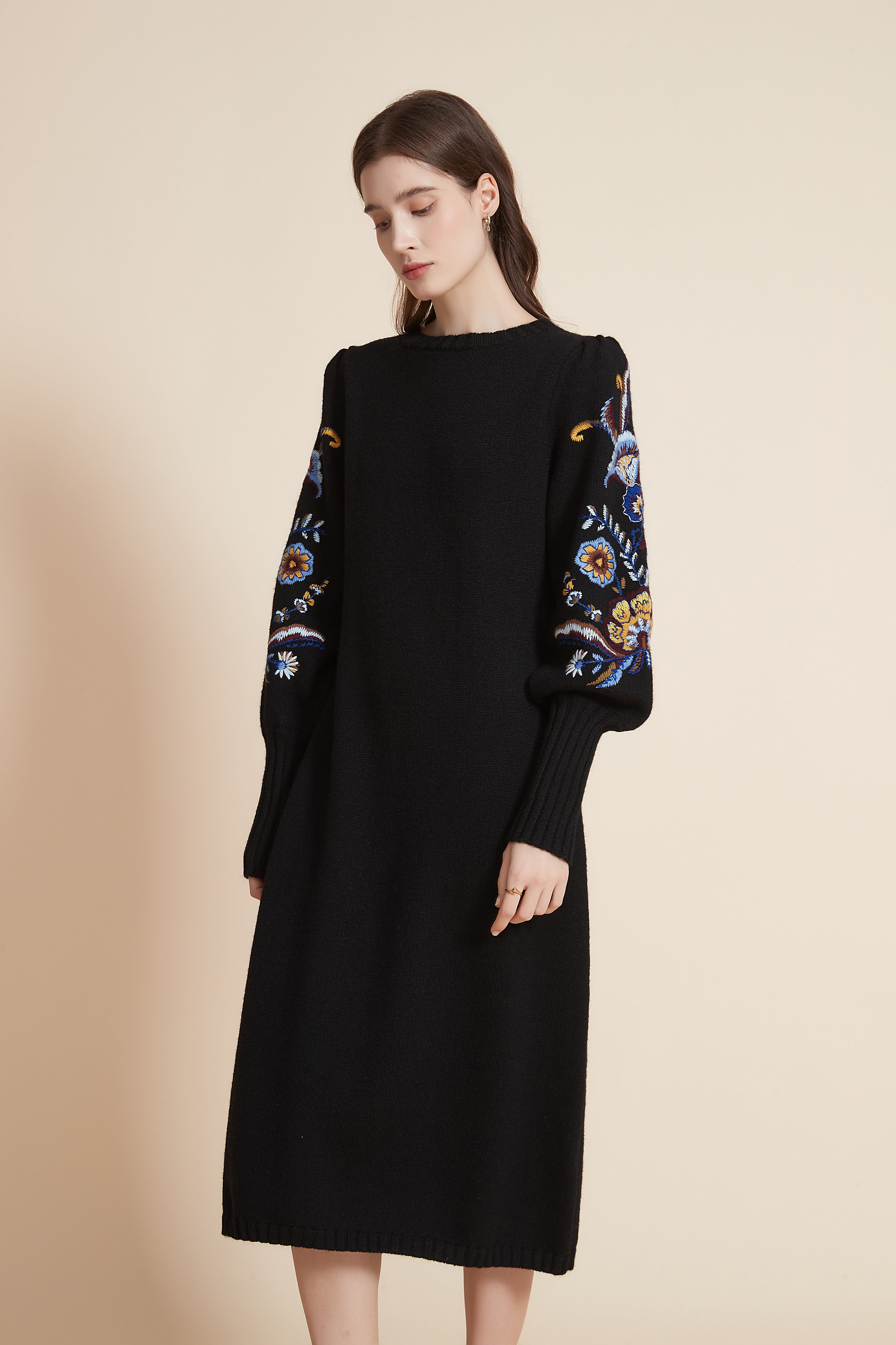 Embroidered Long Sleeve Midi Dress