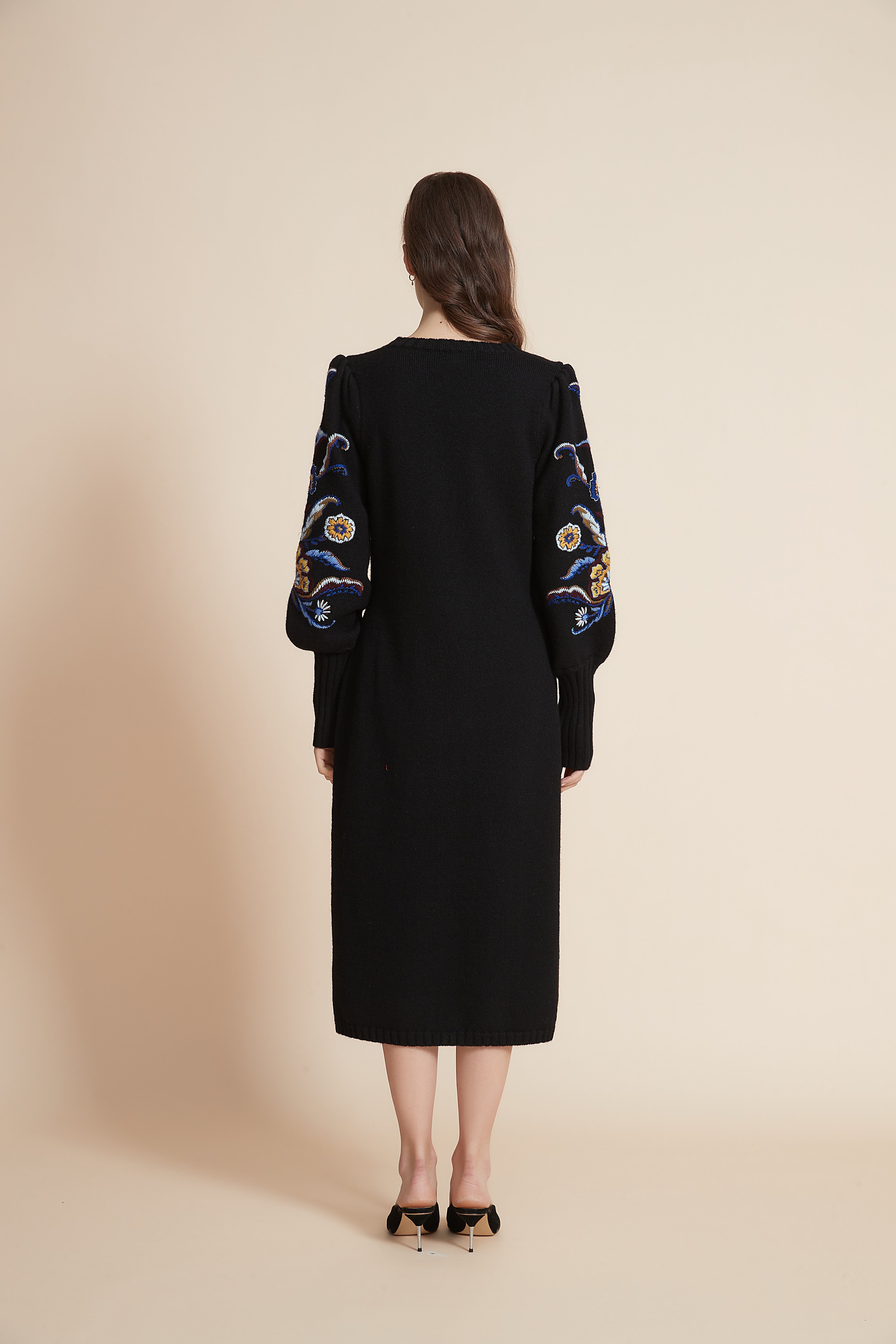 Embroidered Long Sleeve Midi Dress