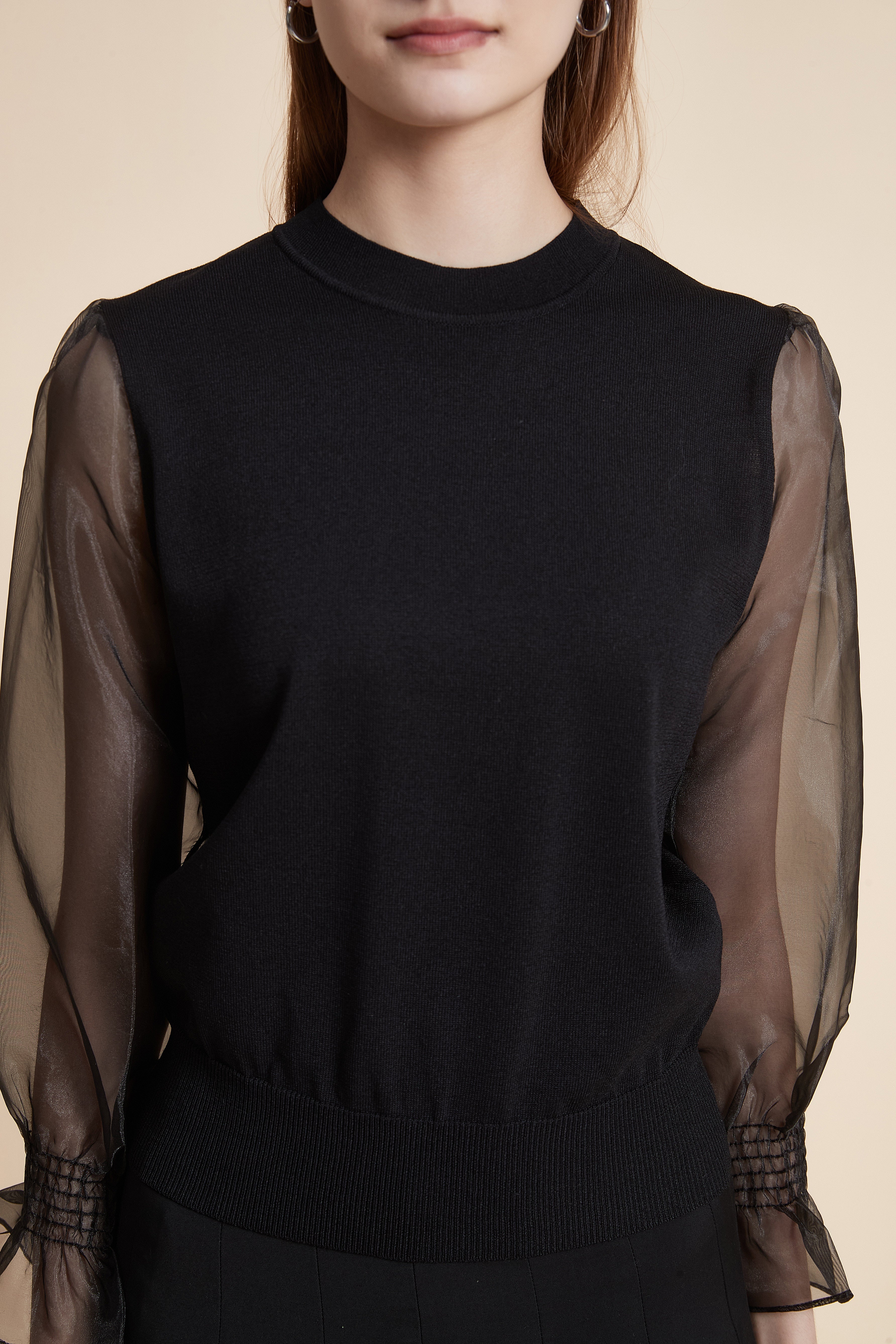 Solid Long Sleeve Sheer Blouse