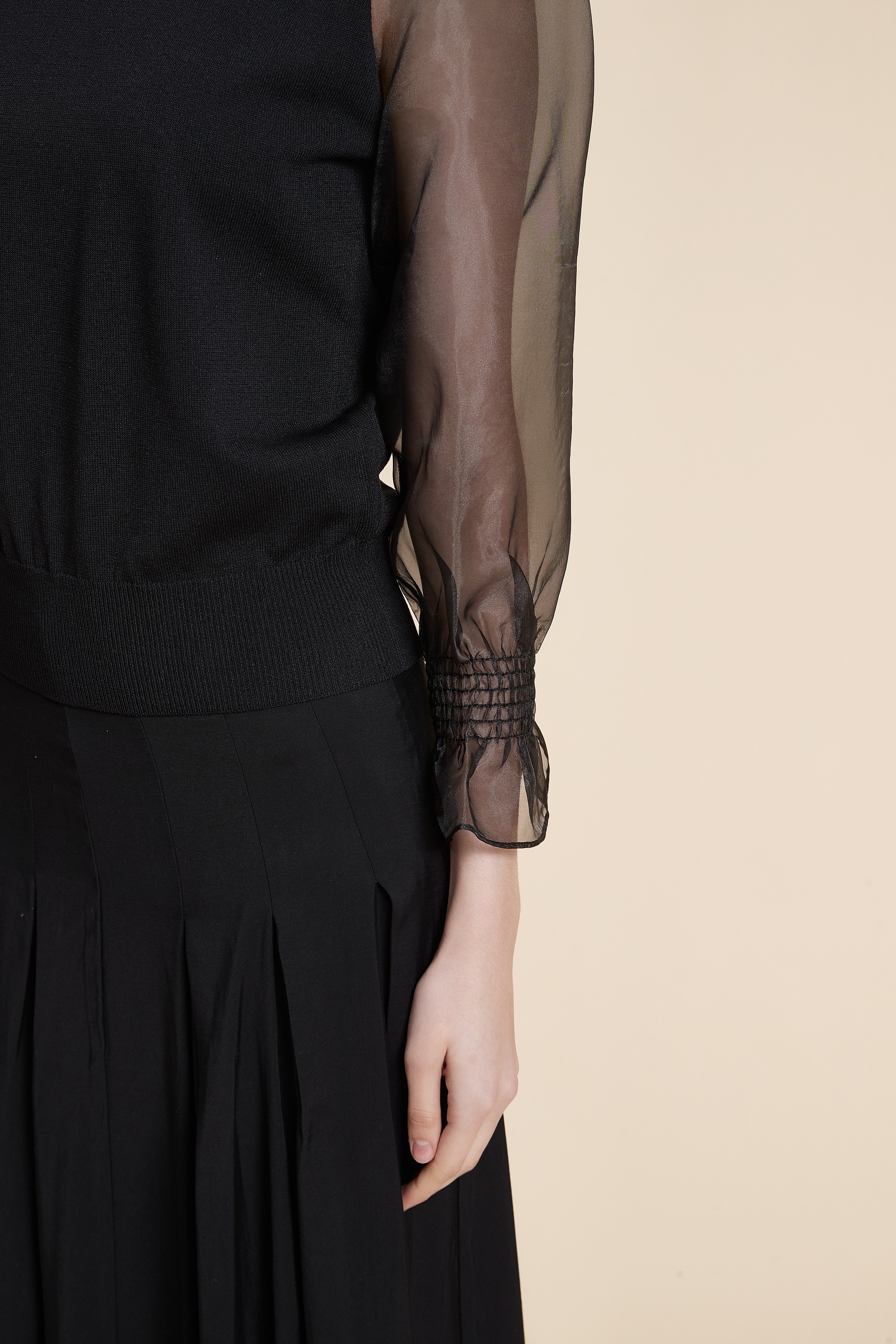 Solid Long Sleeve Sheer Blouse