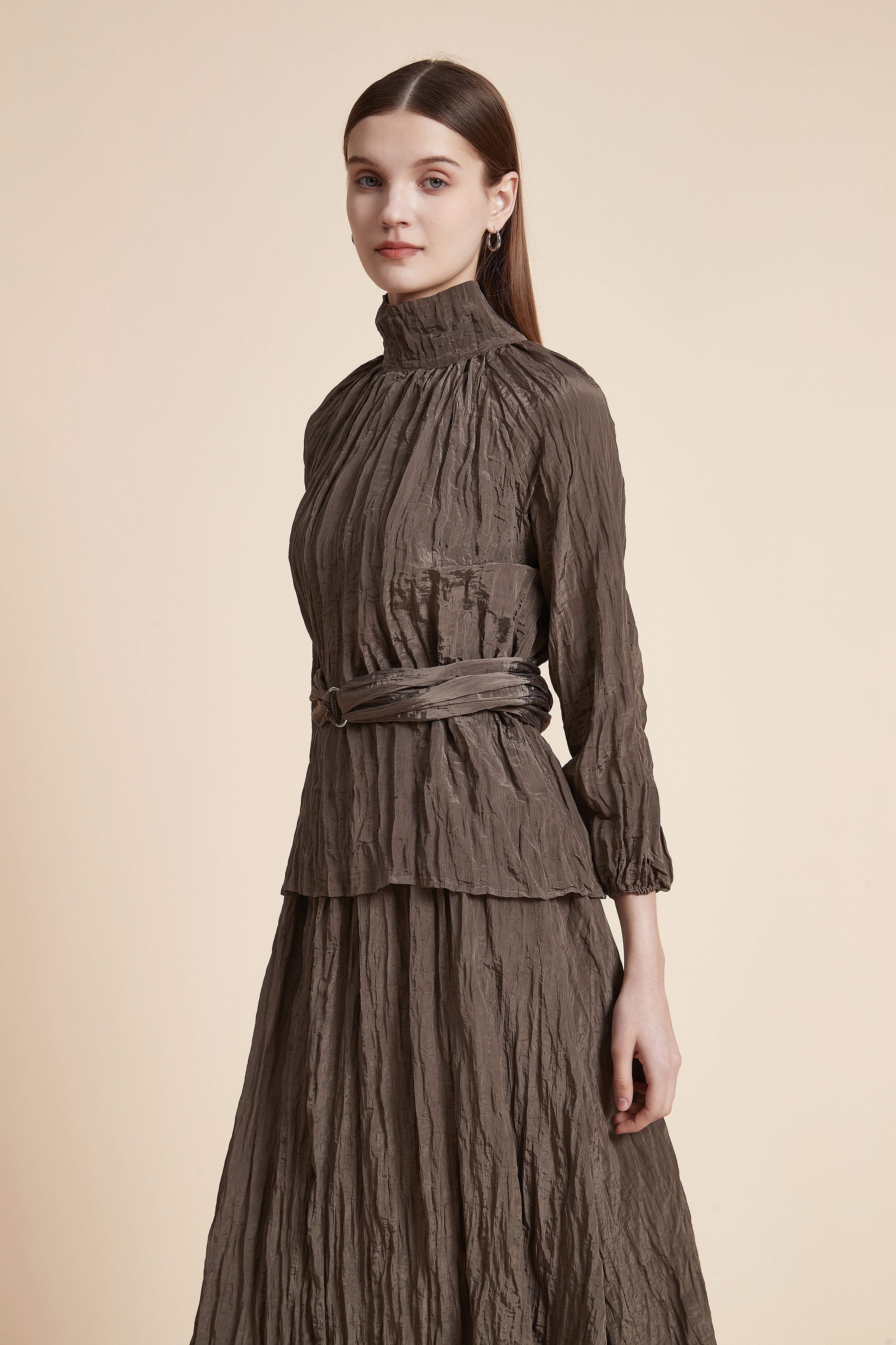 Solid High Neck Long Sleeve Blouse