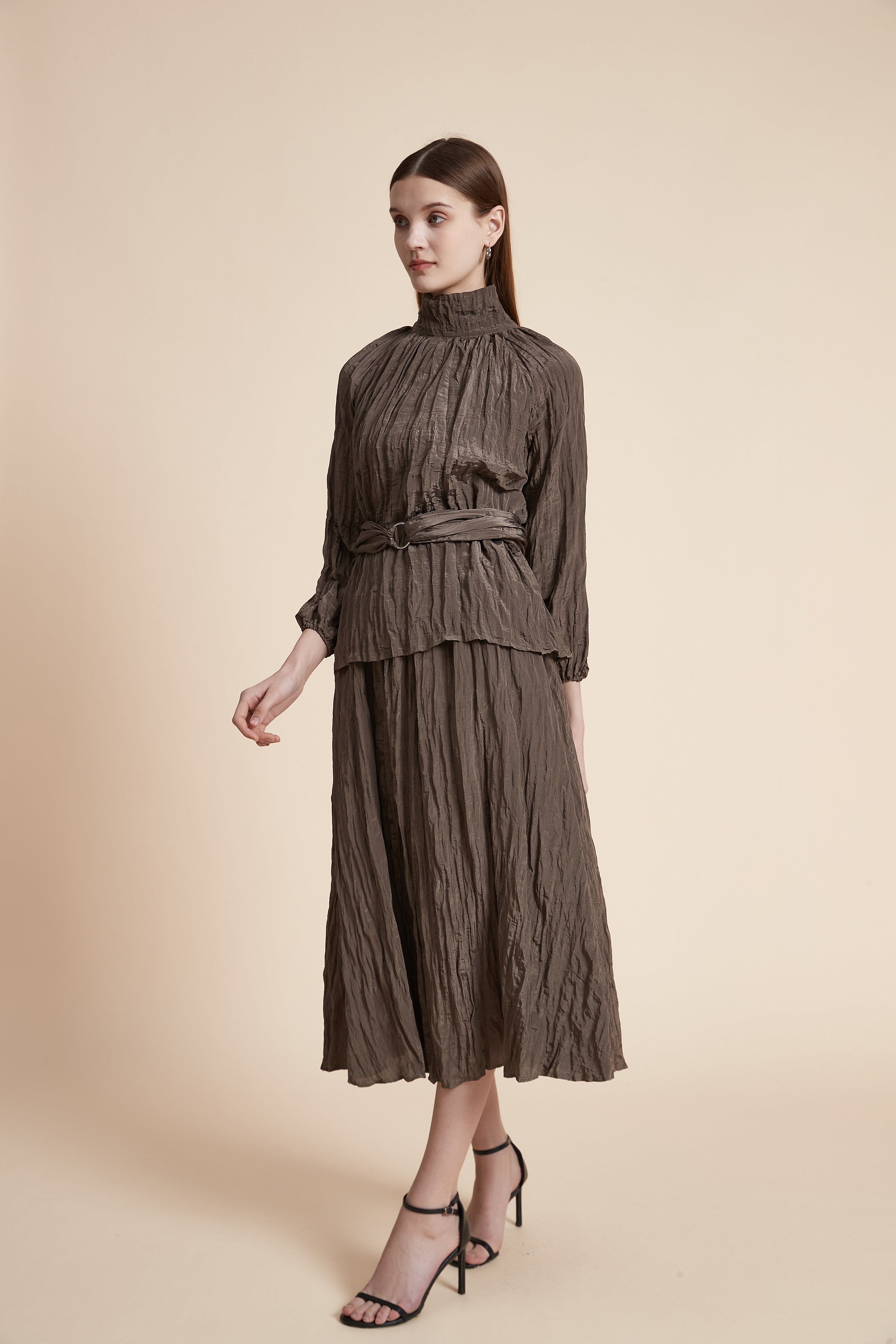Solid High Neck Long Sleeve Blouse