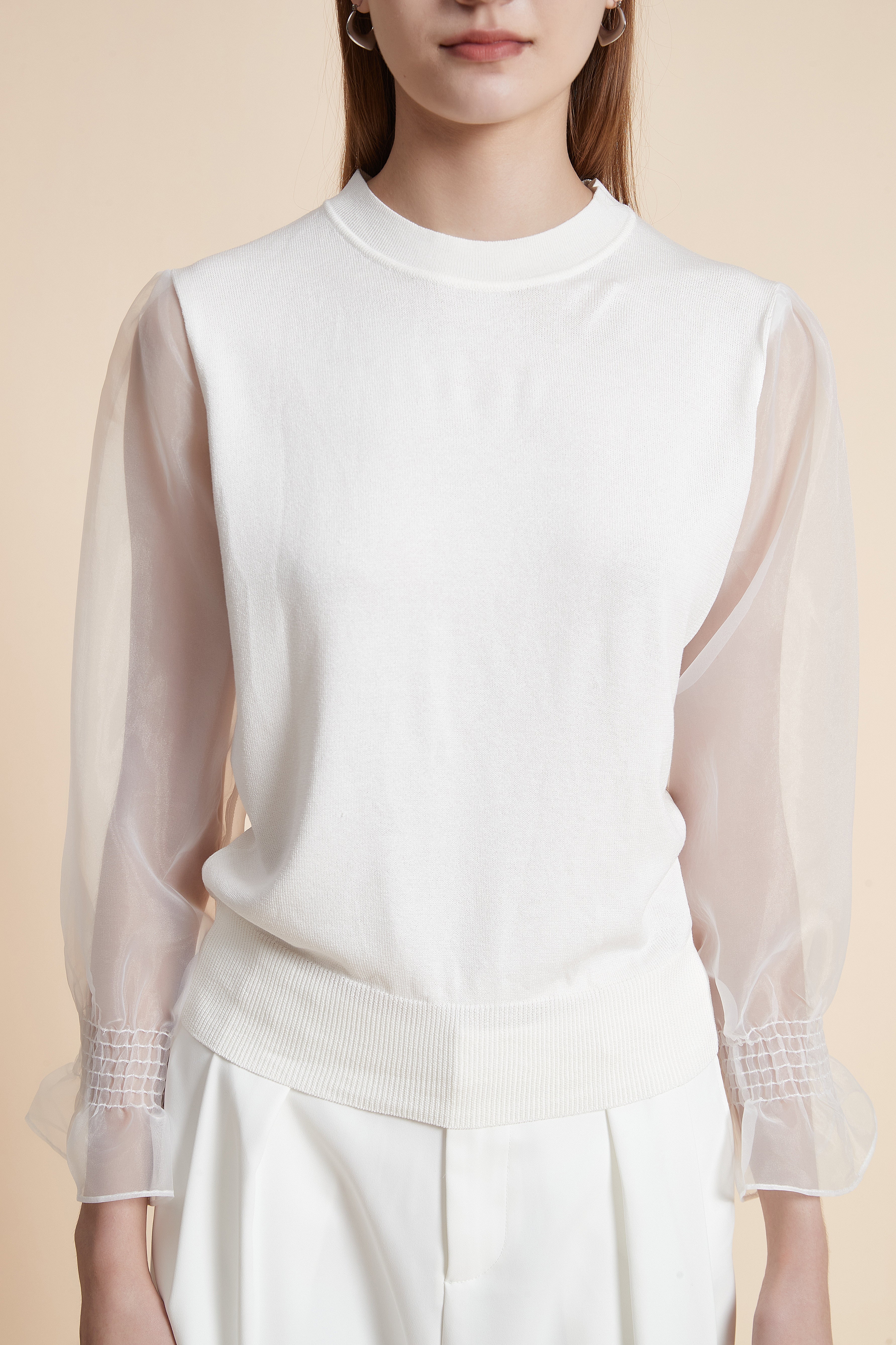 Solid Long Sleeve Sheer Blouse