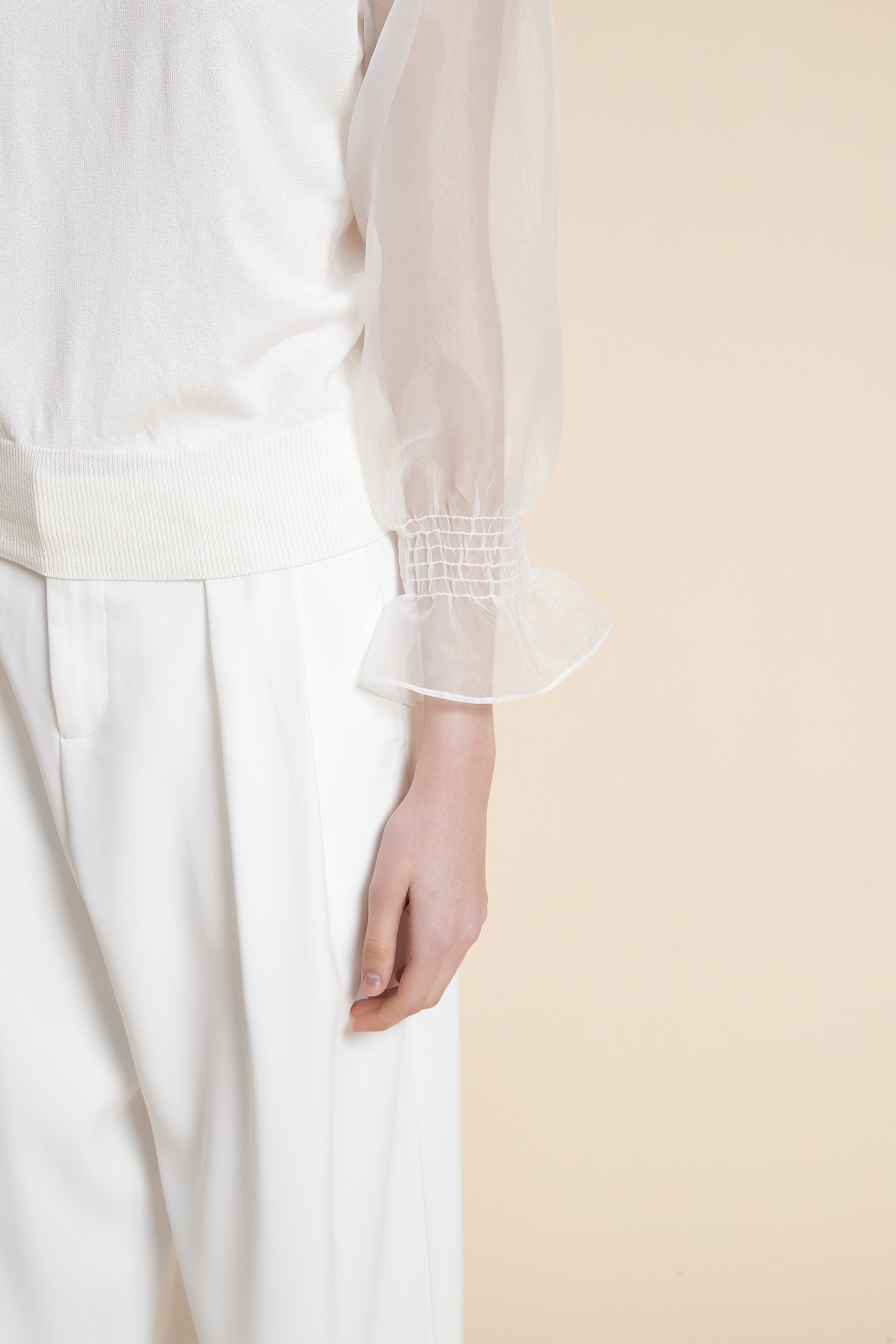 Solid Long Sleeve Sheer Blouse