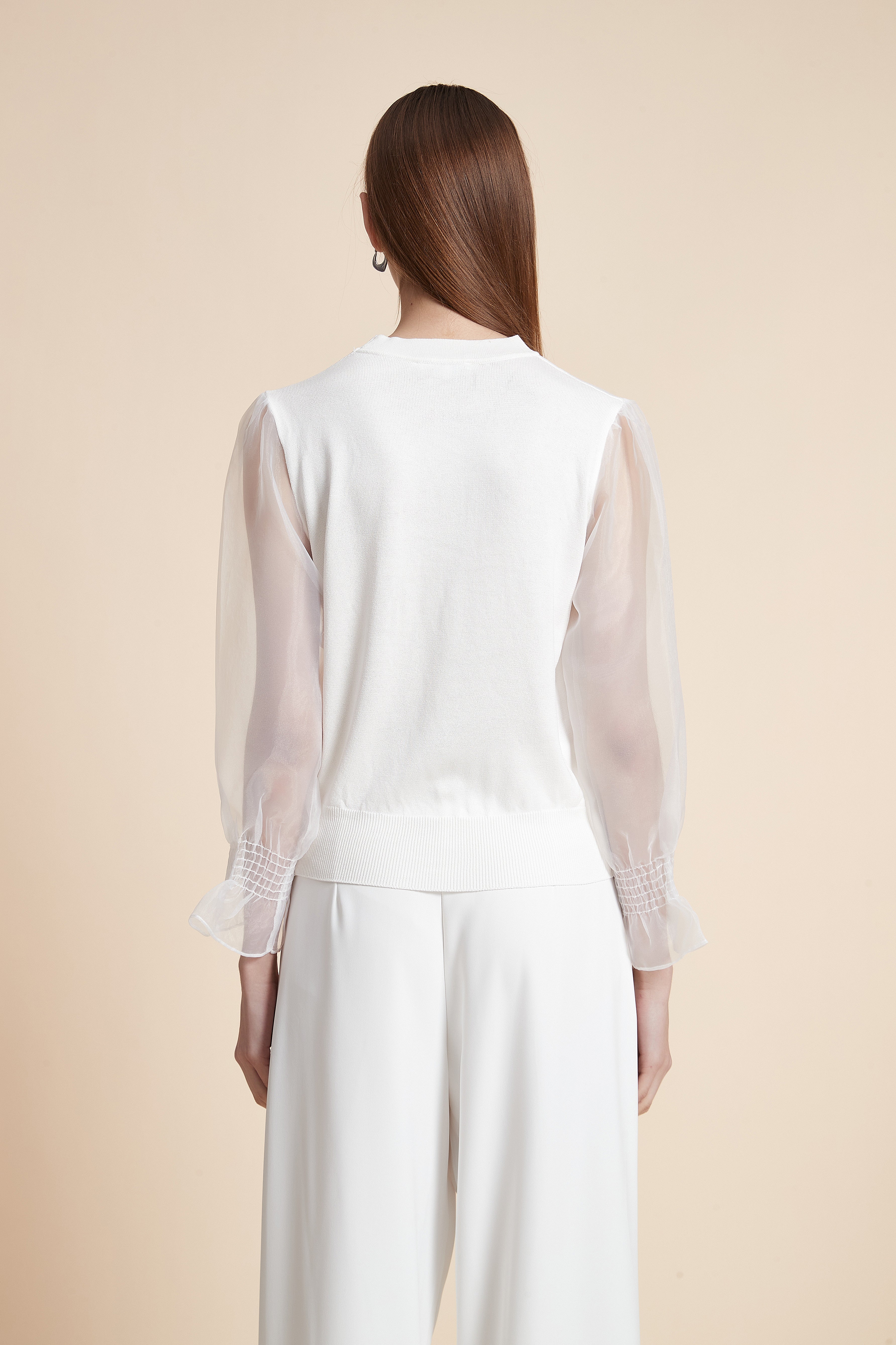 Solid Long Sleeve Sheer Blouse