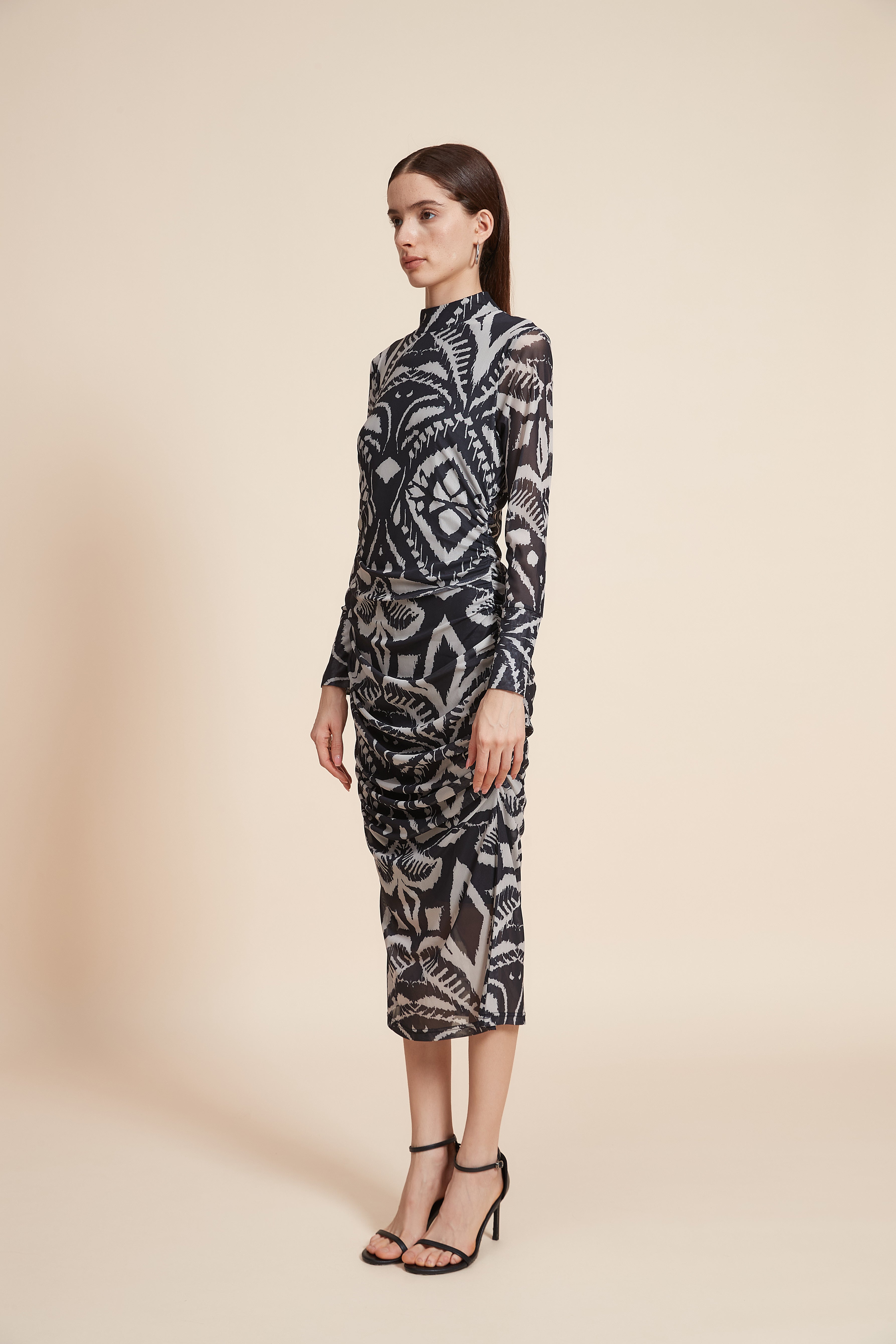 Printed Long Sleeve Midi Dress