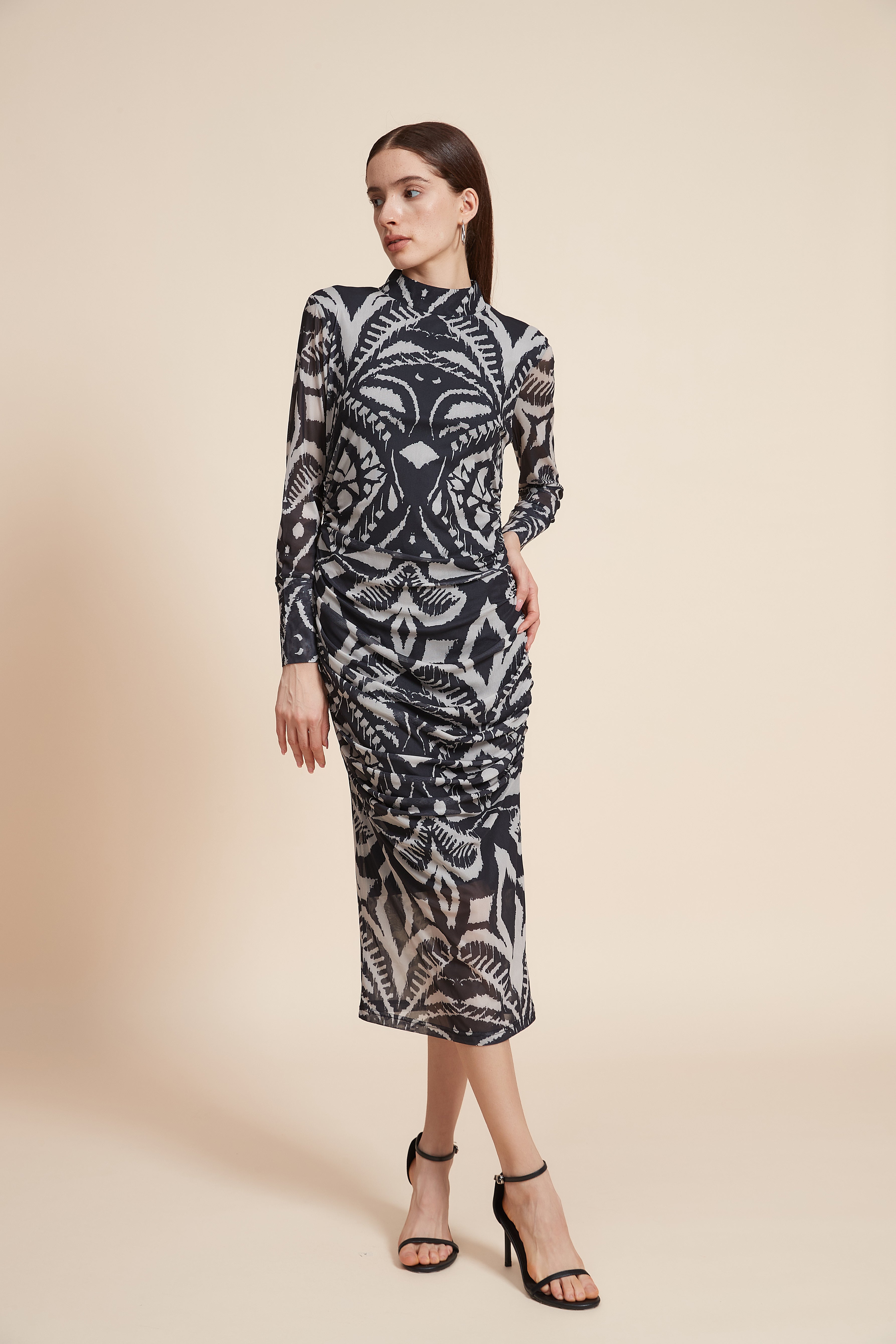 Printed Long Sleeve Midi Dress