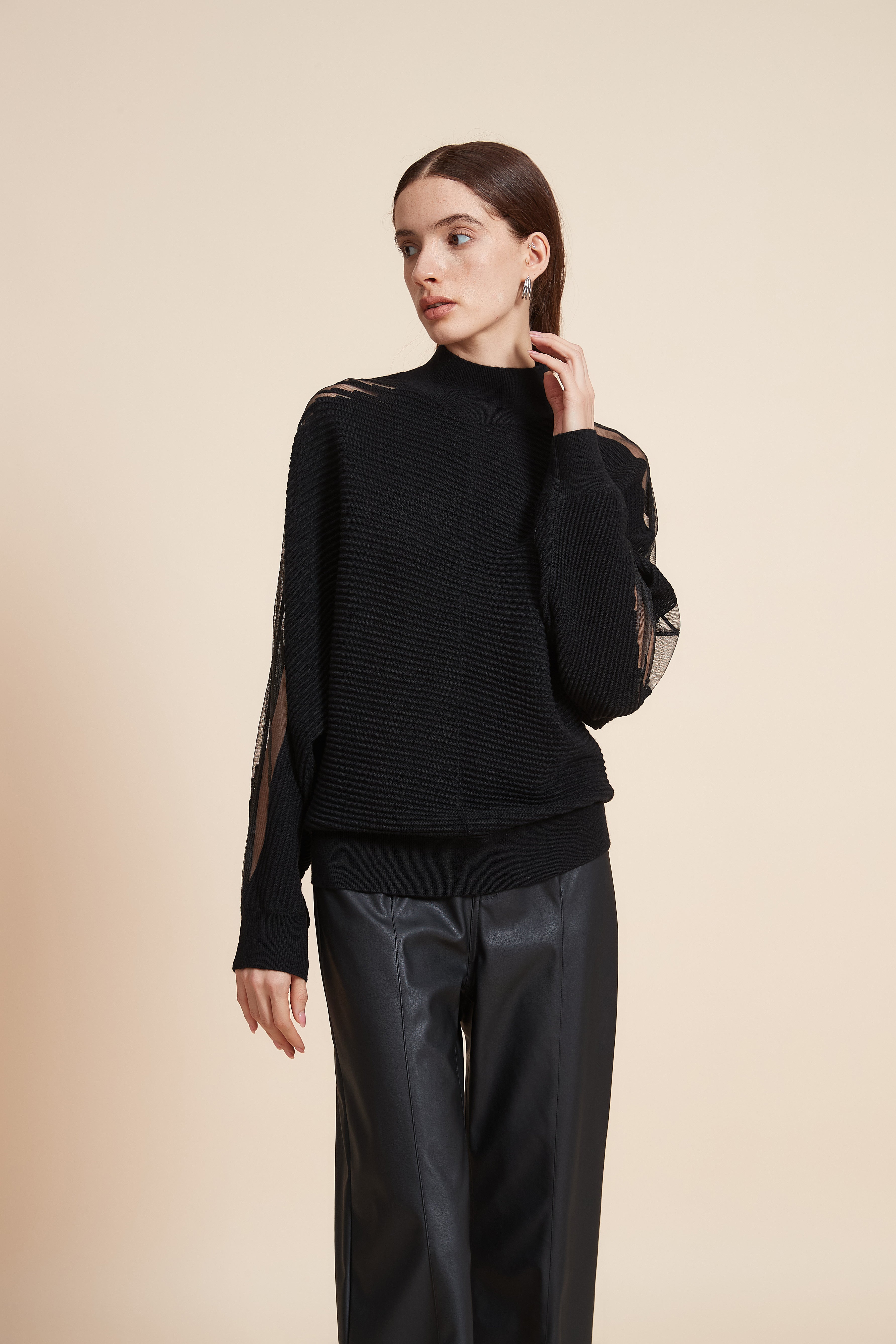 Plain Sweater With Long Sheer Sleeves