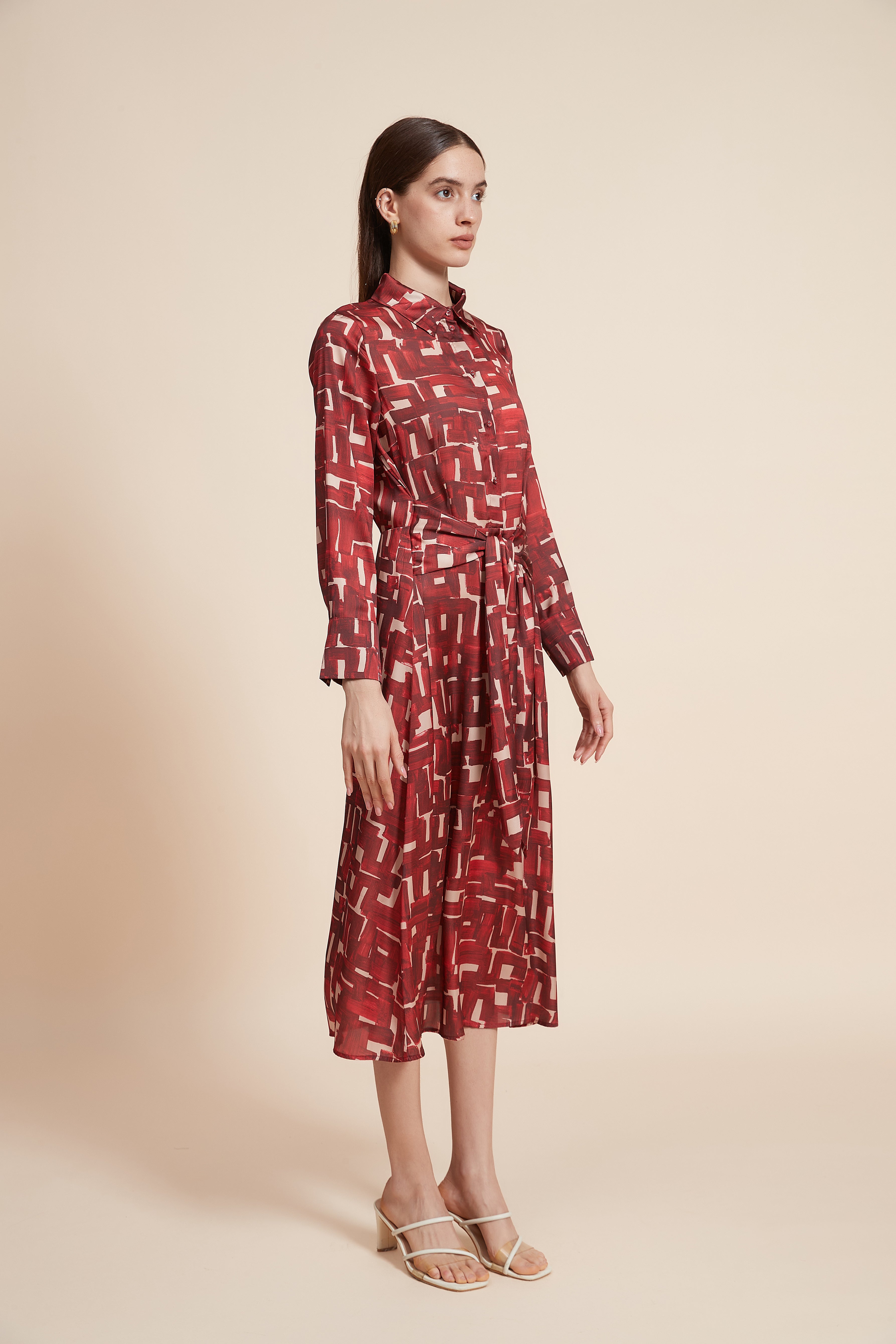 Printed Long Sleeve Maxi Dress