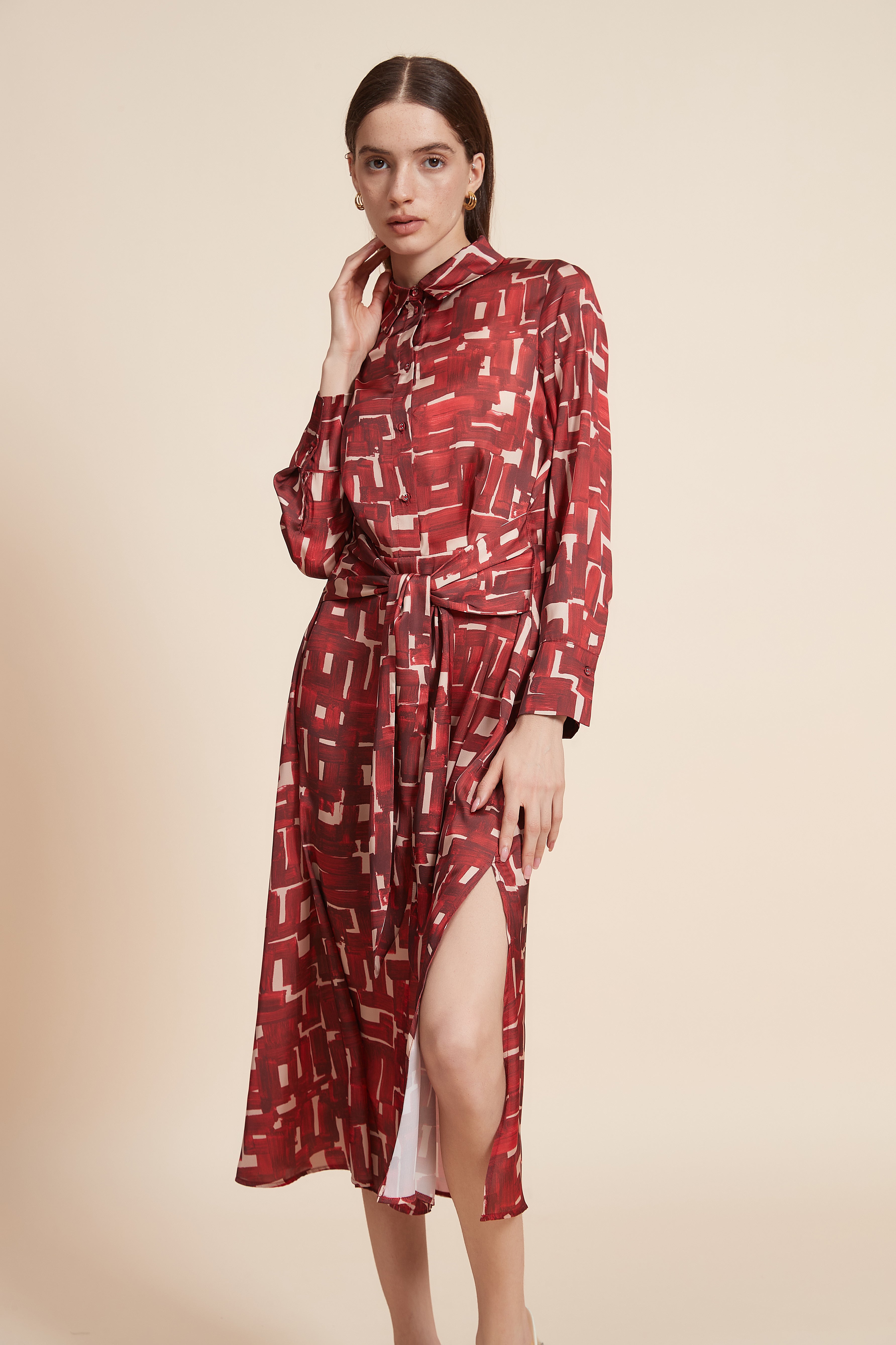 Printed Long Sleeve Maxi Dress