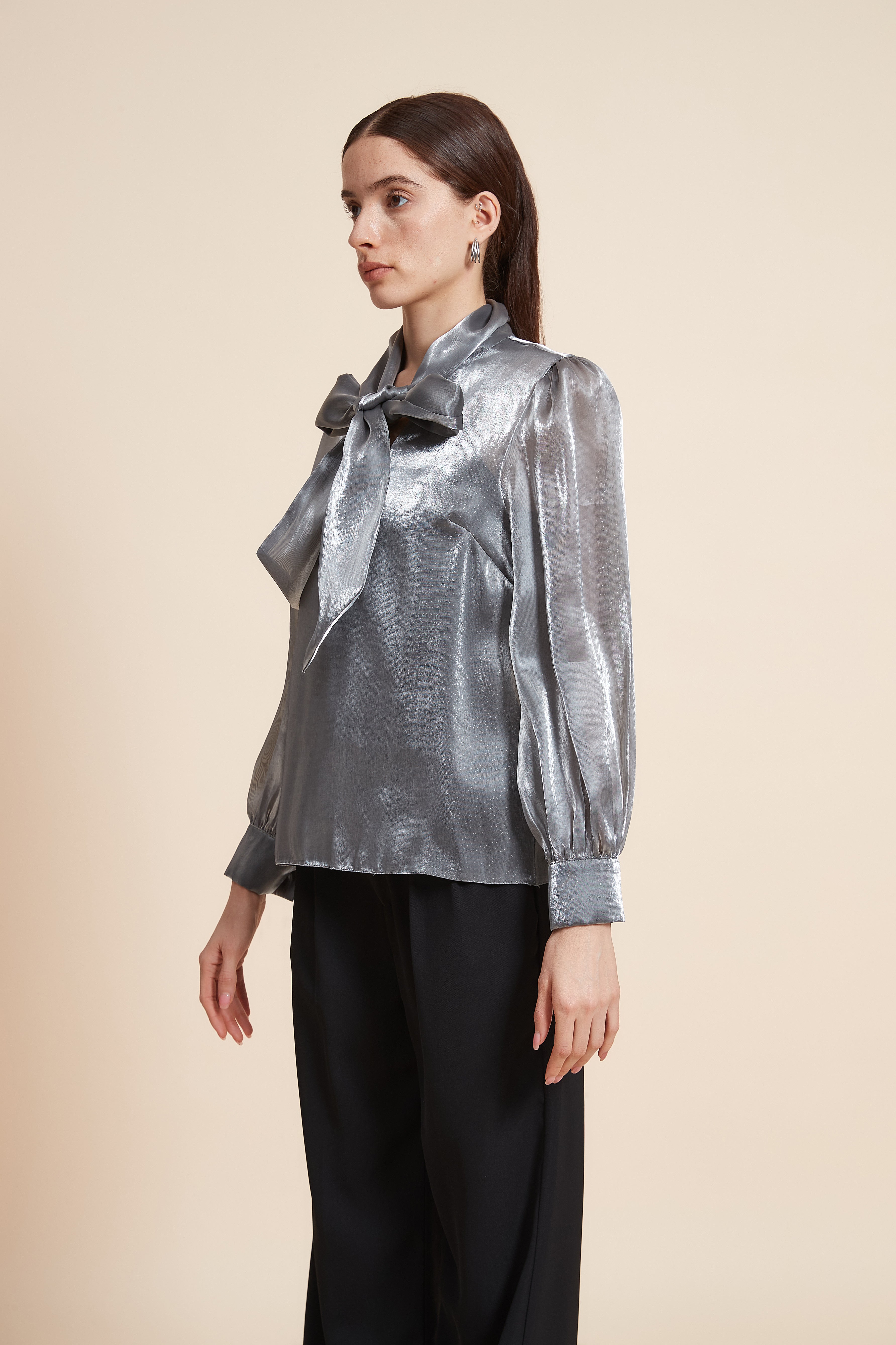 Mid-Length Long Sleeve Blouse with Tie