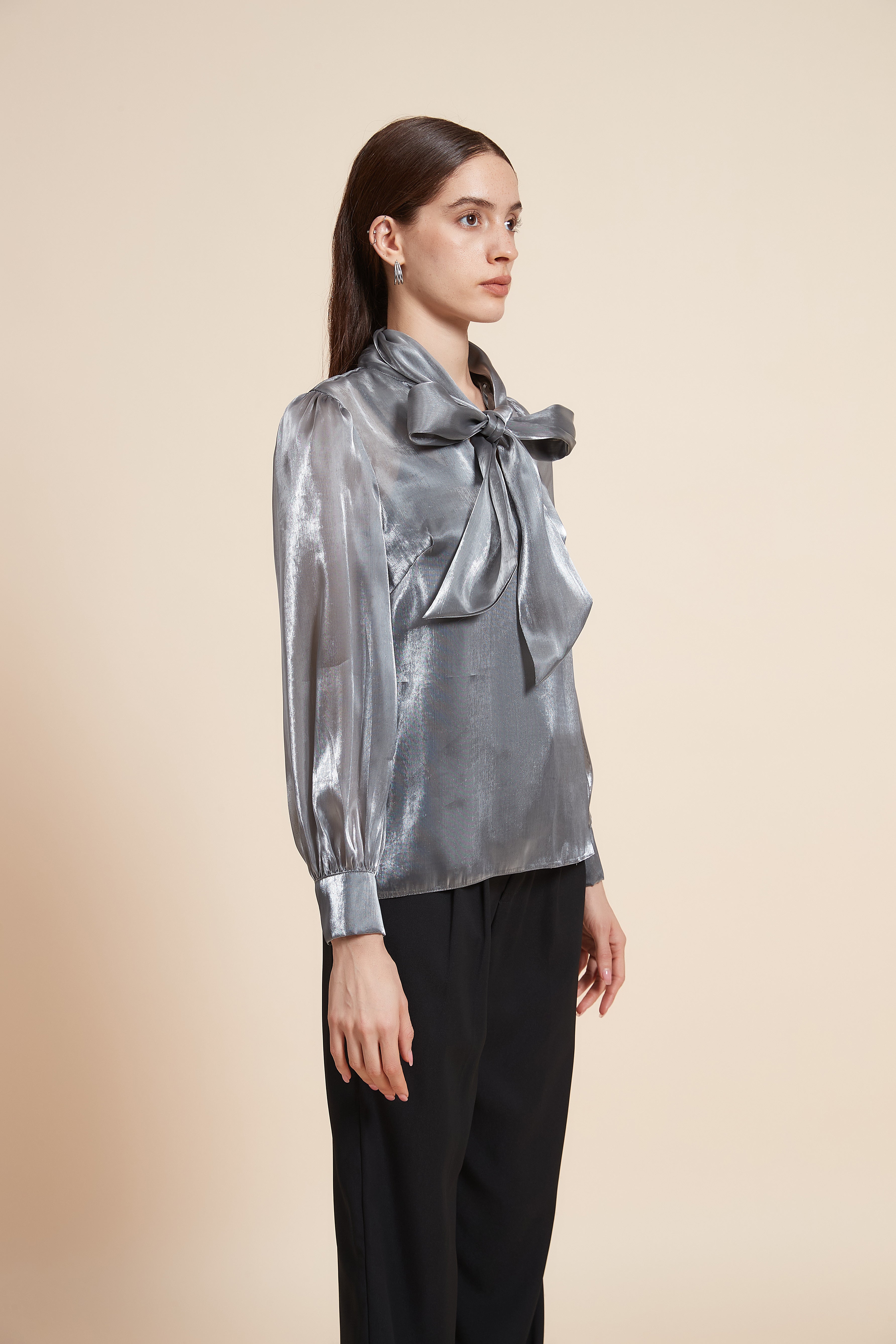 Mid-Length Long Sleeve Blouse with Tie
