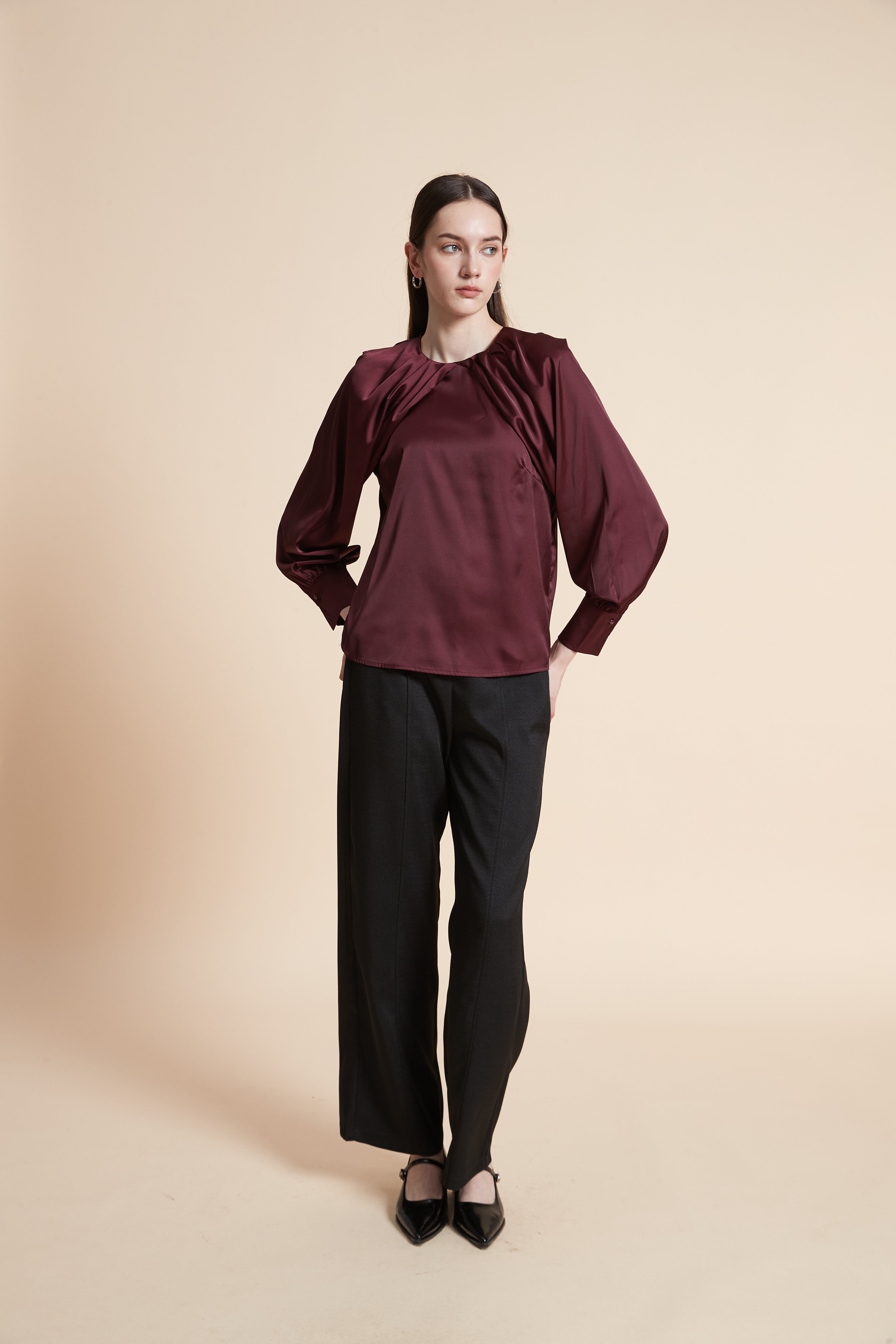 Solid Long Sleeve Blouse