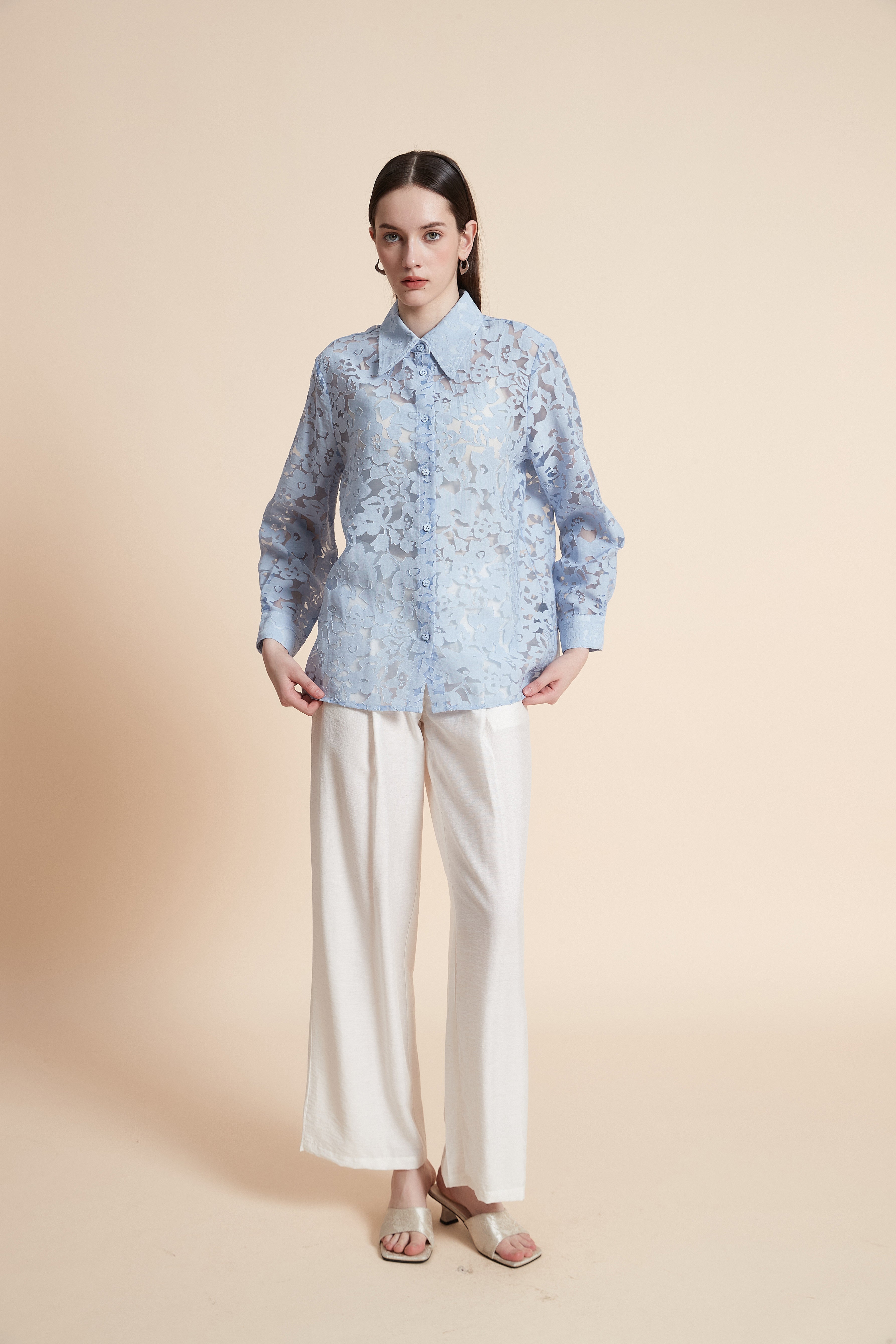 Embroidered Sheer Long Sleeve Shirt