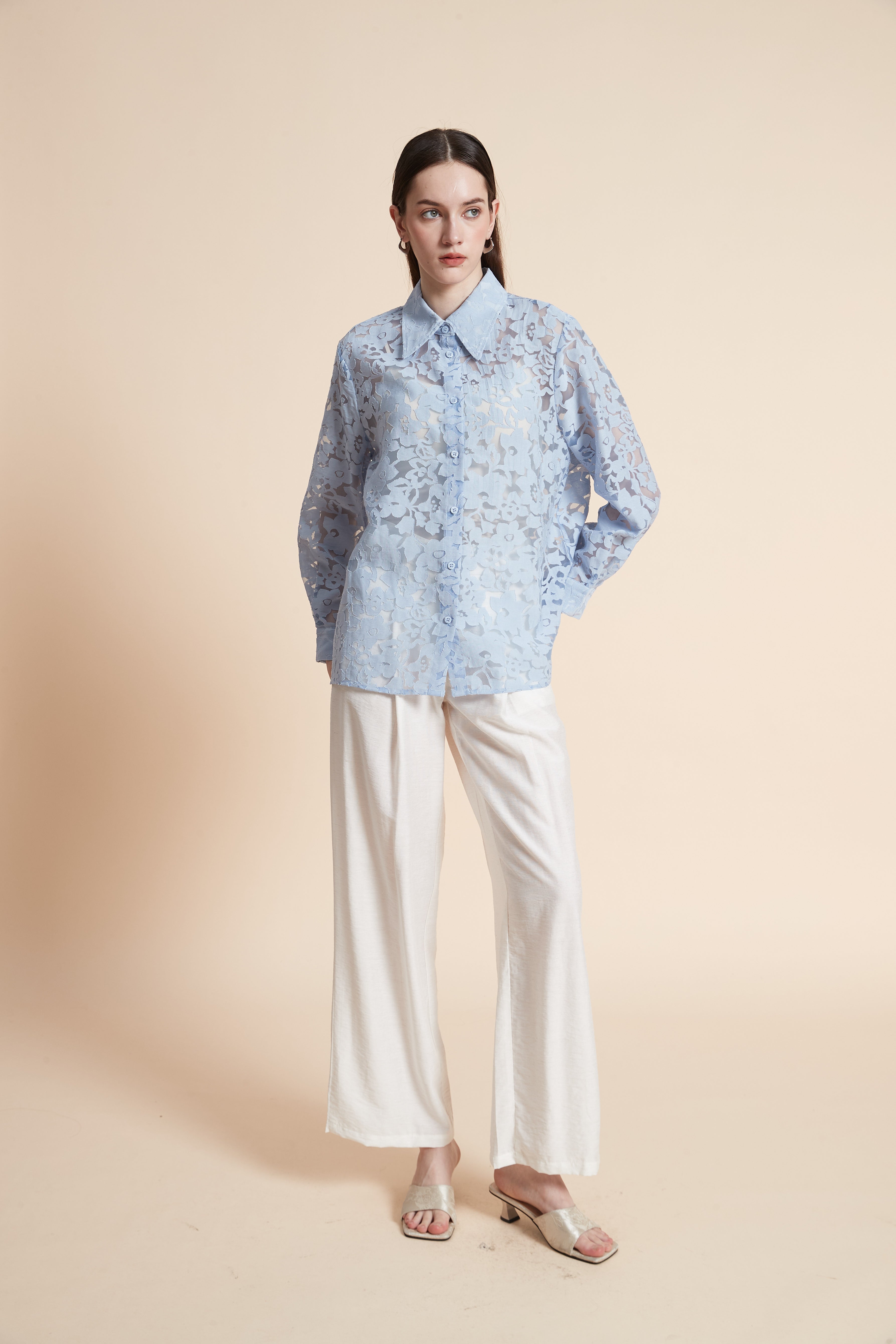 Embroidered Sheer Long Sleeve Shirt