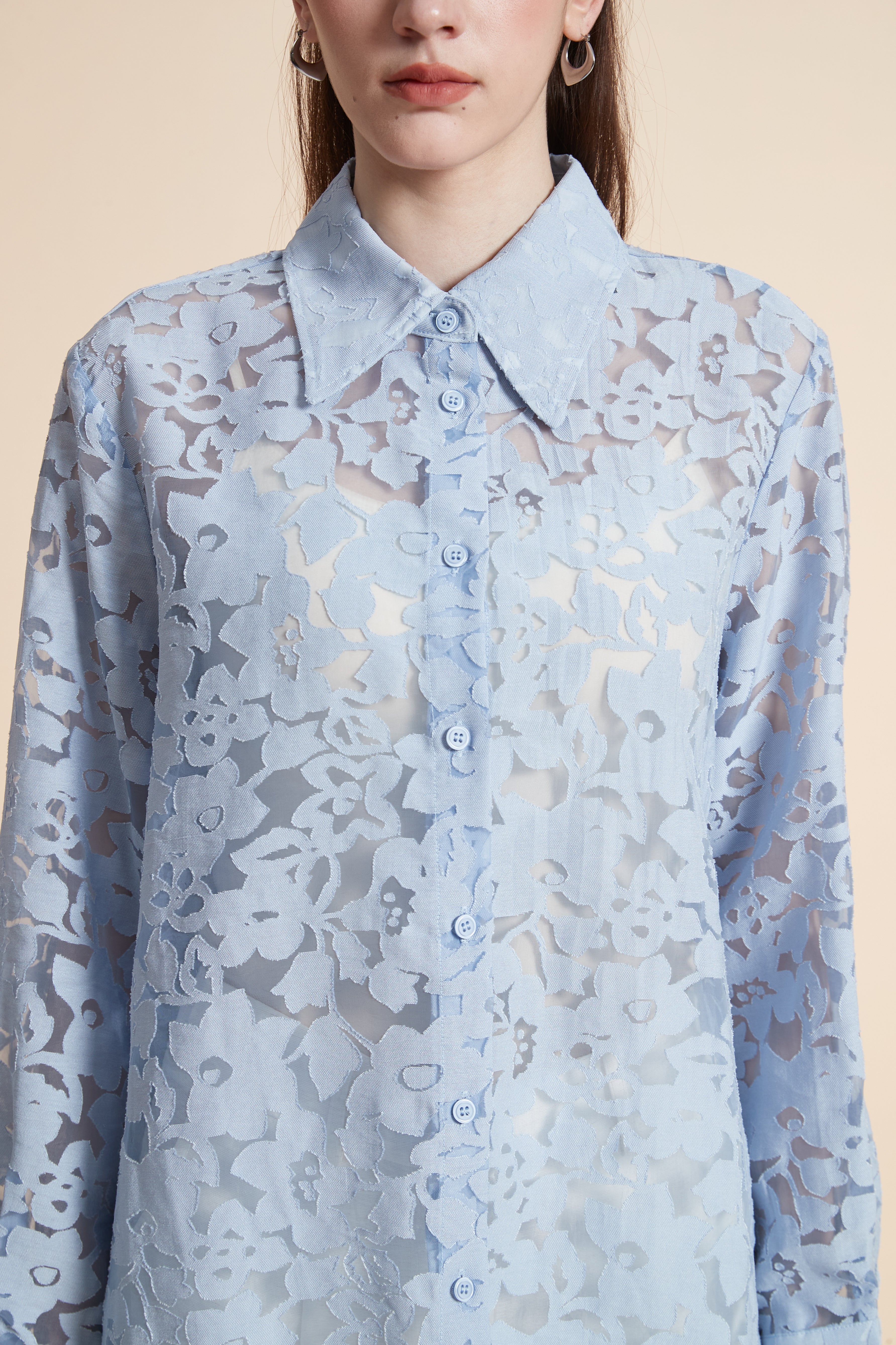 Embroidered Sheer Long Sleeve Shirt