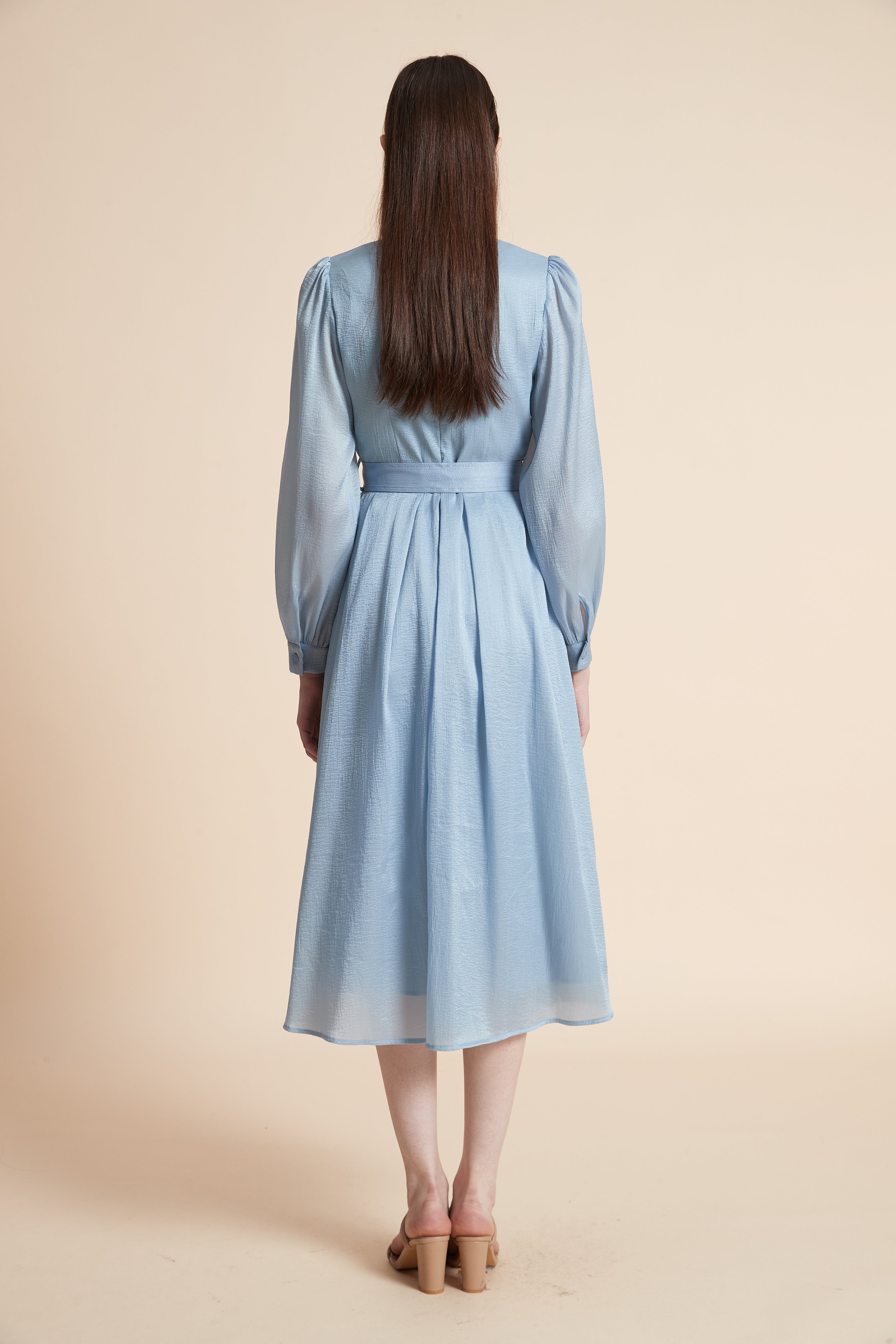 Embroidered Bodice Long Sleeve Midi Dress