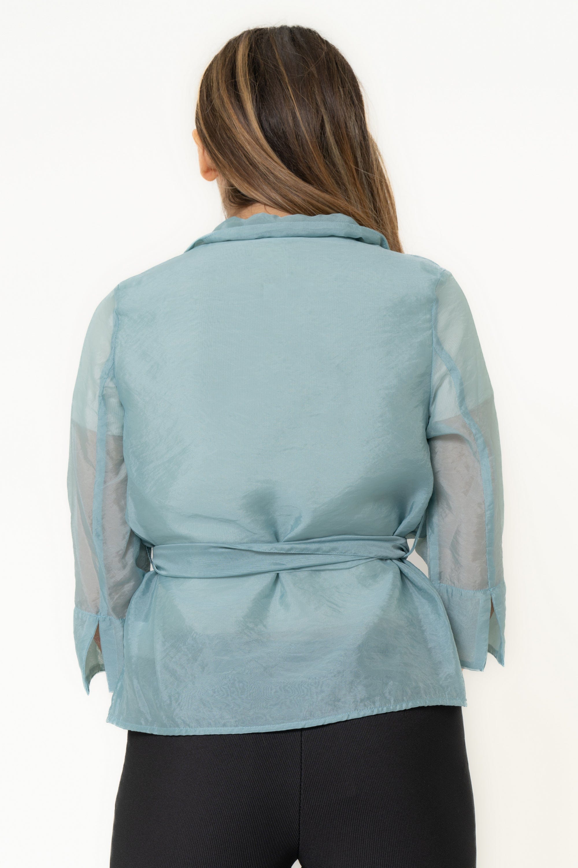 Sheer Plain Long Sleeve Blouse