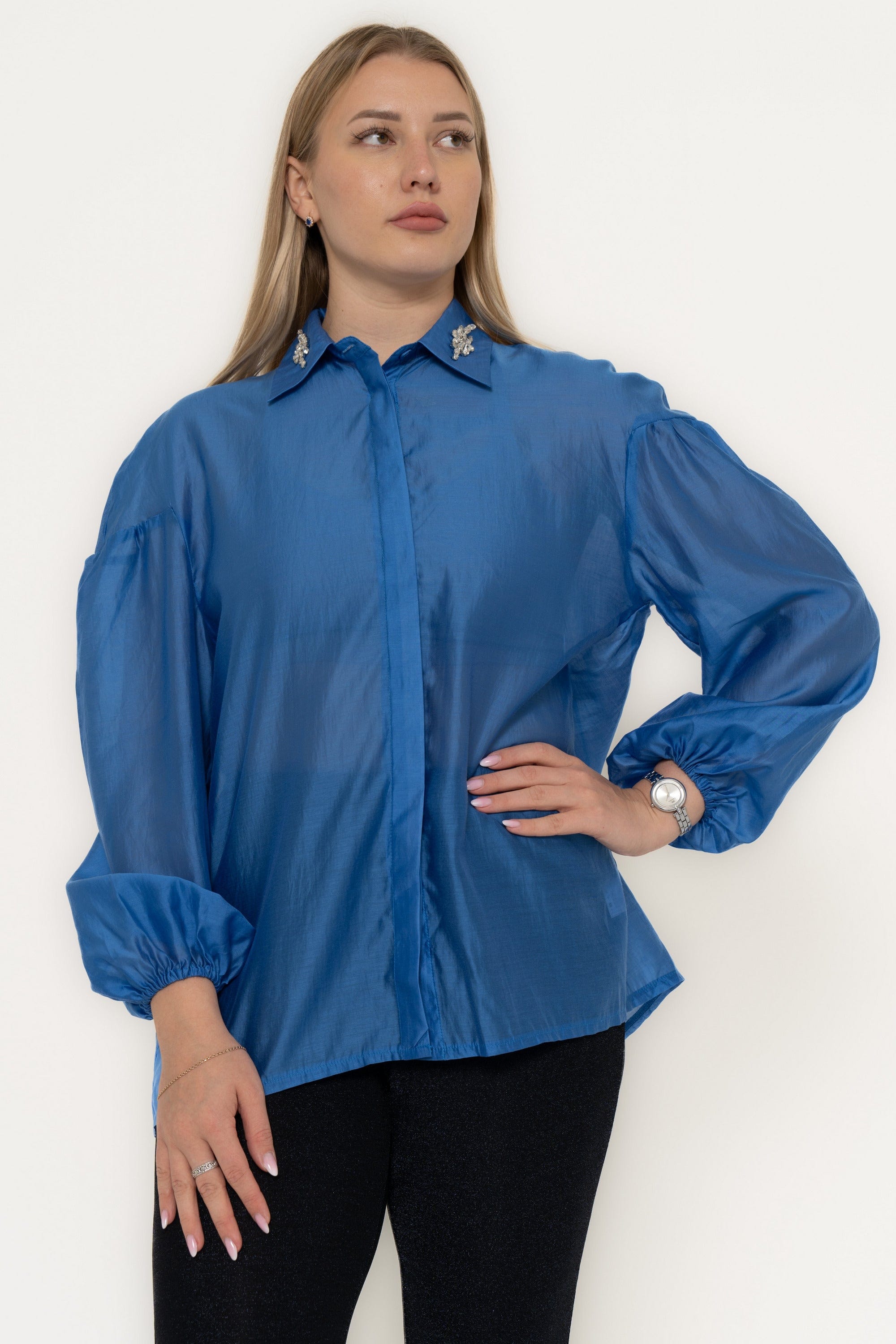 Solid Long Sleeve Blouse With Ruffled Sleeves